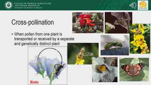 授粉的生物学知识