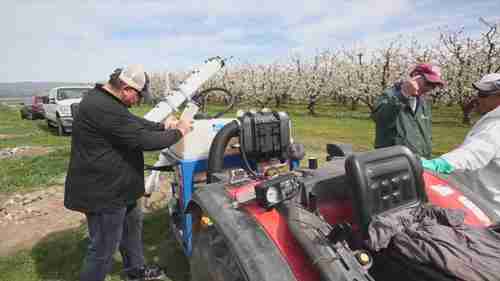 樱桃作物的机械授粉试验