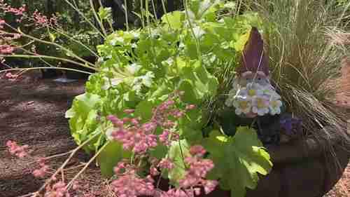 夏季绿荫花园之旅