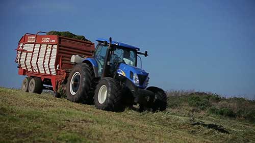 DeLaval奶业优质的青贮饲料