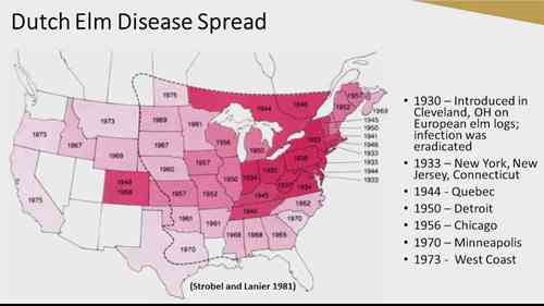 北美森林病虫害历史