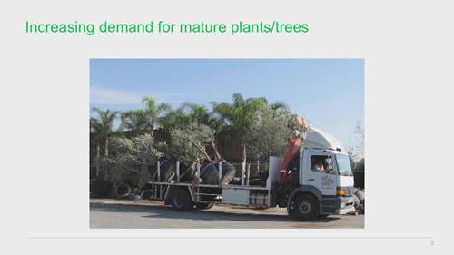 植物病虫害在全球的威胁