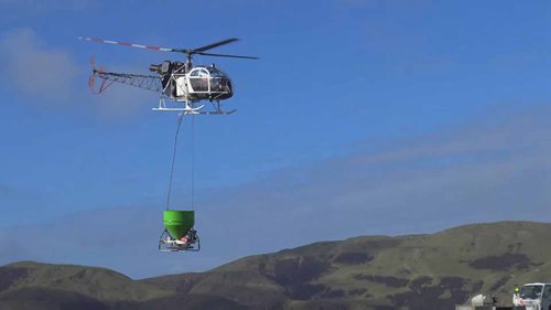 森林病虫害的防治