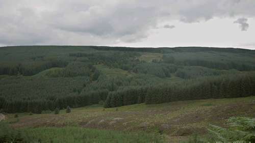 诺森伯兰郡的防治病虫害计划