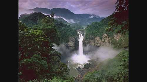 森林生态系统的重要性