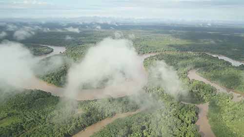 森林生态系统服务计划