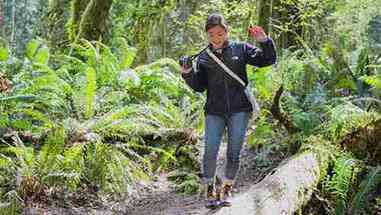 森林和雷尼尔山上的环境科学