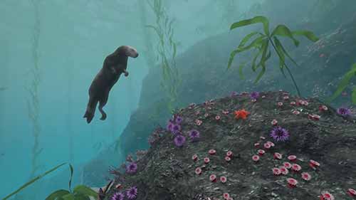 海岸的食物网络