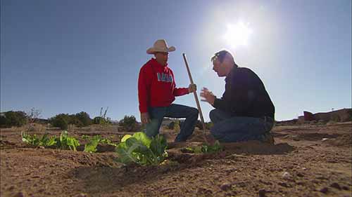 如何在沙漠中种植蔬菜