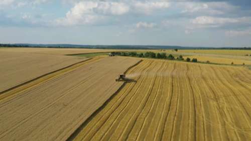 数据驱动农业和人工智能运用