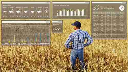 澳大利亚的数字农业服务