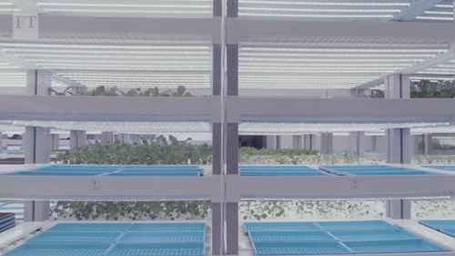 新加坡的高科技城市农业