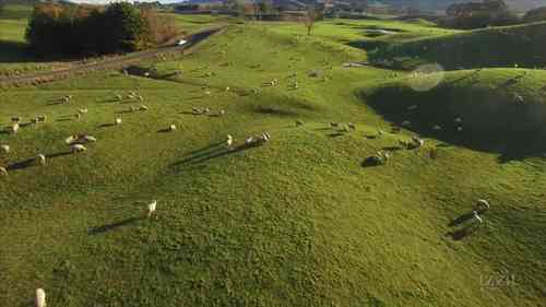 新一代的新西兰奶农