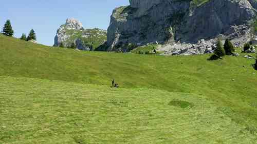 瑞士的农业发展