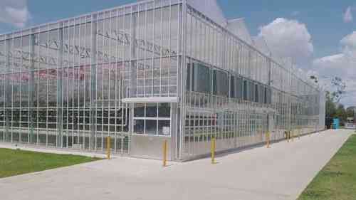 集约体系中的作物生产