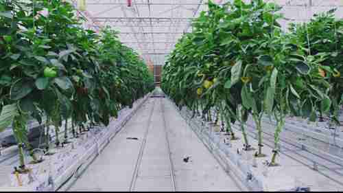 农业的自动化控制系统