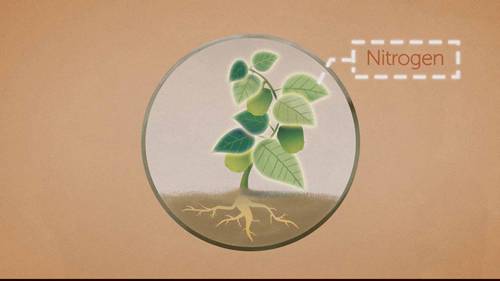 设施农业种植中的营养液