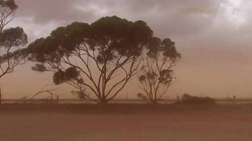对抗干旱的自然方式