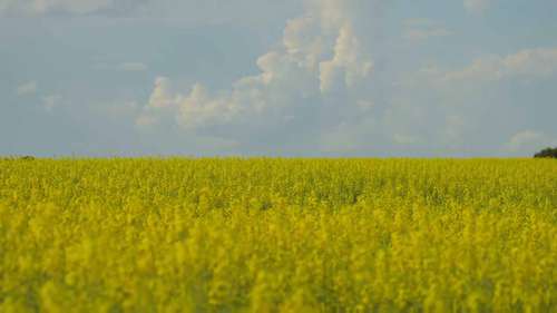 设施农业的经营