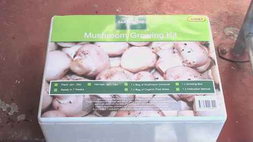 如何种植蘑菇 1