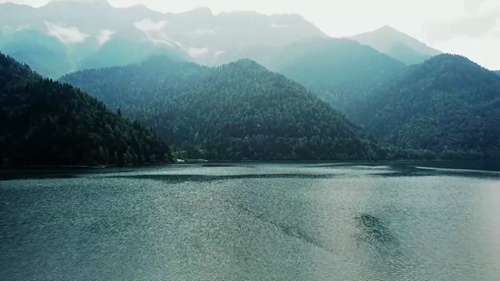 AstraZeneca公司的造林计划