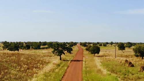 5000万棵树会带来什么改变