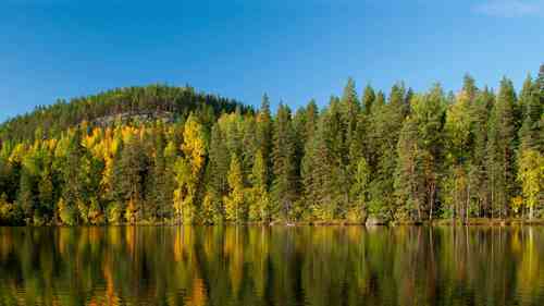 欧洲的森林资源