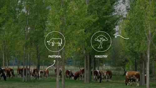 农用林业的知识