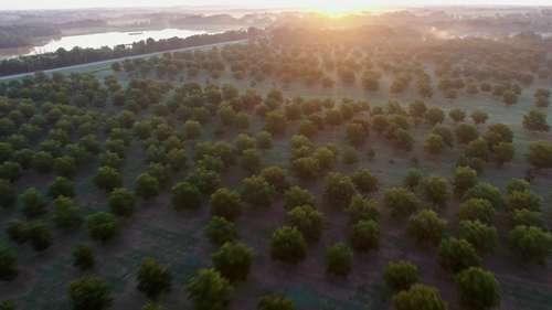 发展农林复合技术