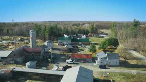 如何用甜菜制糖