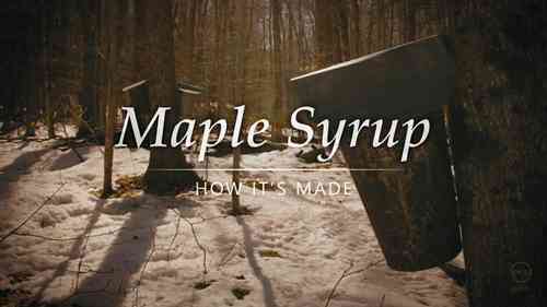 枫糖浆的制作方法