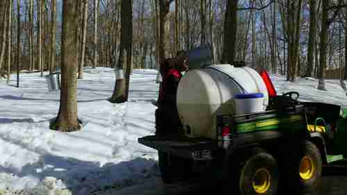 如何把枫汁变成糖浆