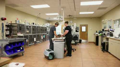 BluePearl宠物医院