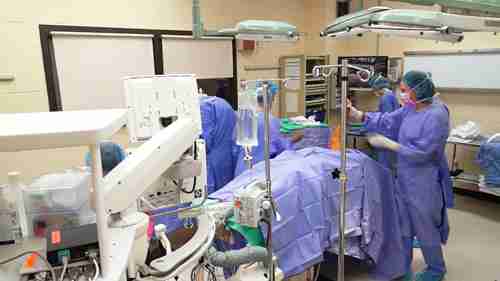 谷歌眼镜技术进行宠物治疗