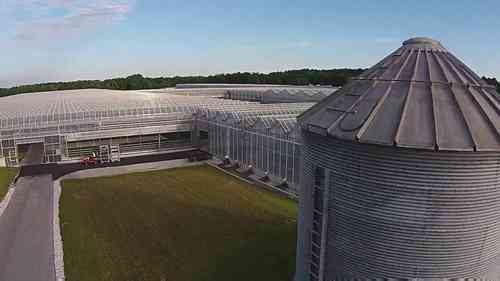 开花植物的园艺生产