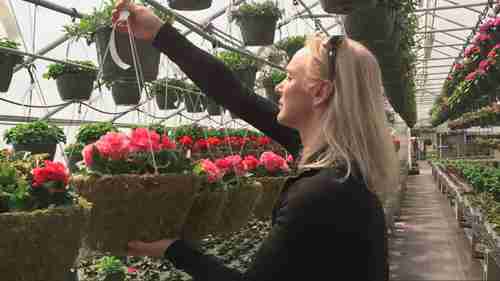 独立式温室的吊篮系统