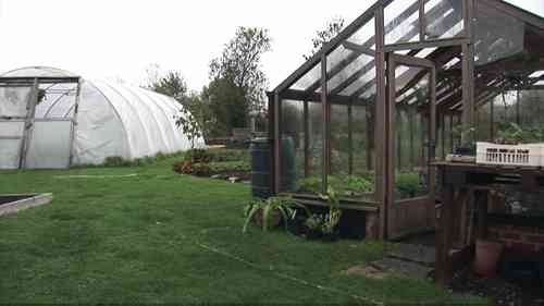 温室对于植物生长的作用