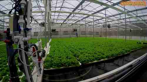 温室农业正在兴起