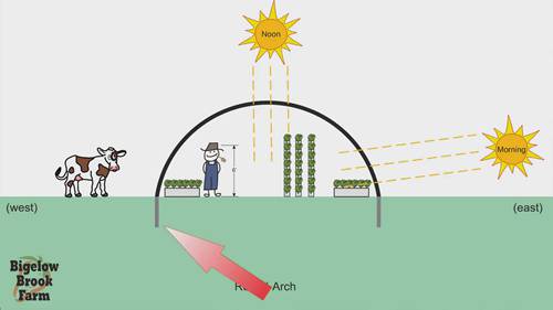 不同类型的温室