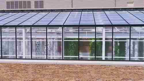 温室种植的食物走向餐桌