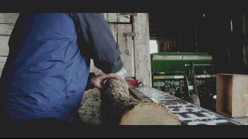 香菇栽培的四个阶段