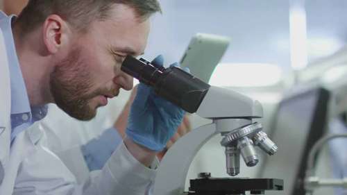 栽培香菇的替代基质