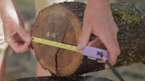 如何种植蘑菇 2