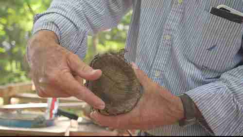 在你的农场种植香菇