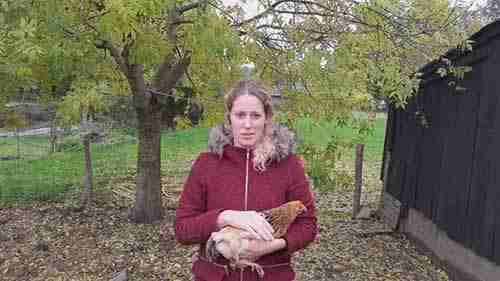 动物科学专业的学习