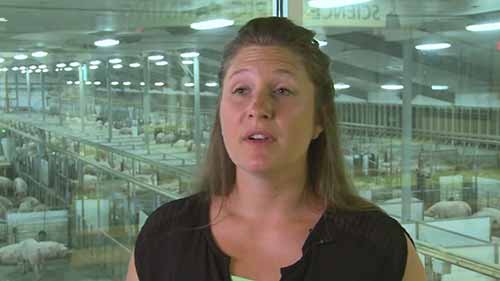 养猪业和动物科学