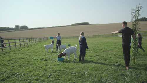 动物管理相关知识