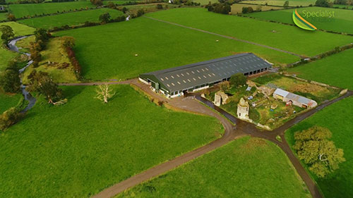 湿饲料的储存和喂养