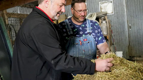 牲畜营养专家为农民提供帮助