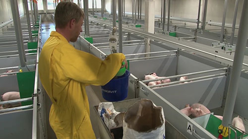 DenkaFarm创新中心养猪场